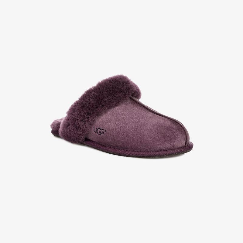 Chausson UGG Scuffette II Femme Violette Soldes 269XTJME